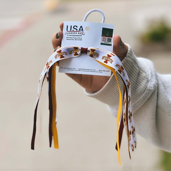 I-State Mini Pony Streamer